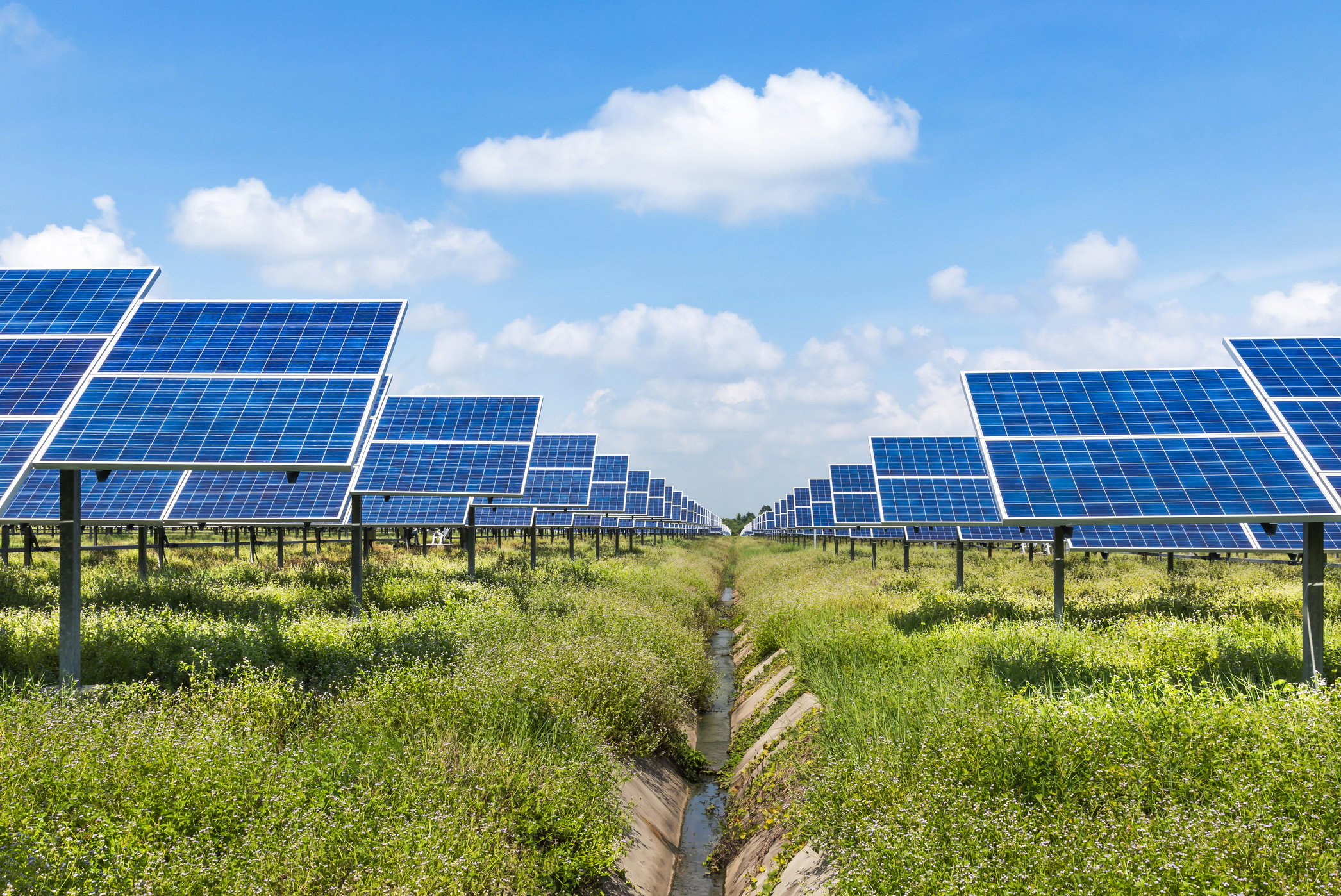 Photovoltaics module solar panels in solar farm